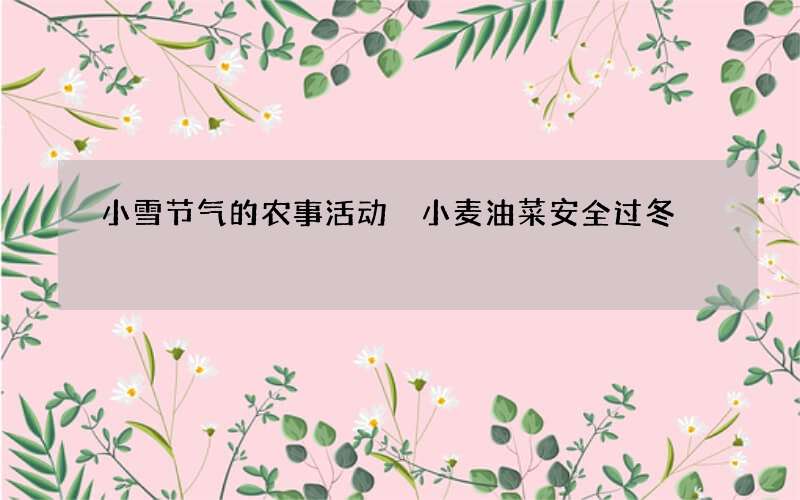 小雪节气的农事活动 小麦油菜安全过冬